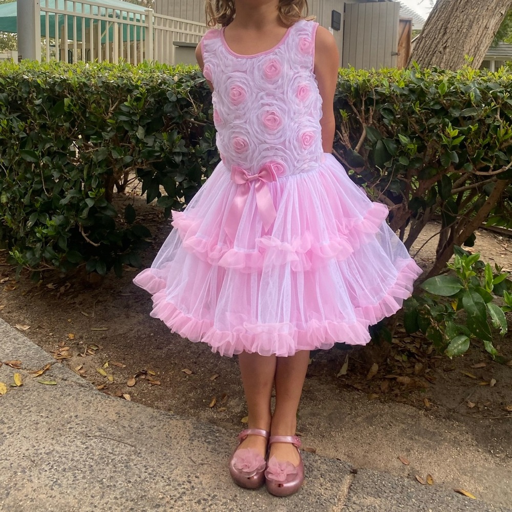 Adorable Pink Rose tulle Dress size 5